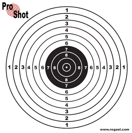 ProShot Pistol Targets (Box Of 800) - 14cm 1 ProShot Pistol Targets (Box Of 800) - 14cm